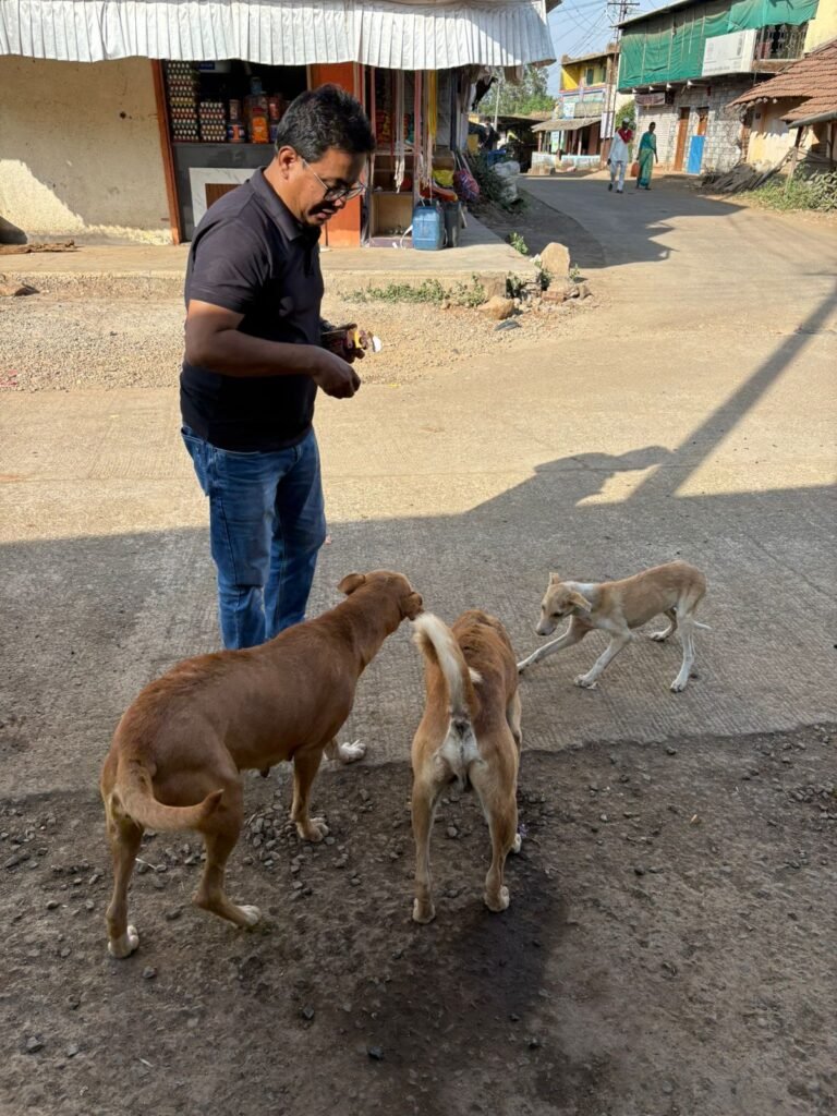 whatsapp image 2025 12 06 at 10.13.58 pm (2)