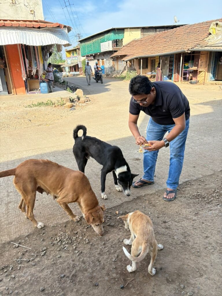 whatsapp image 2025 12 06 at 10.13.58 pm