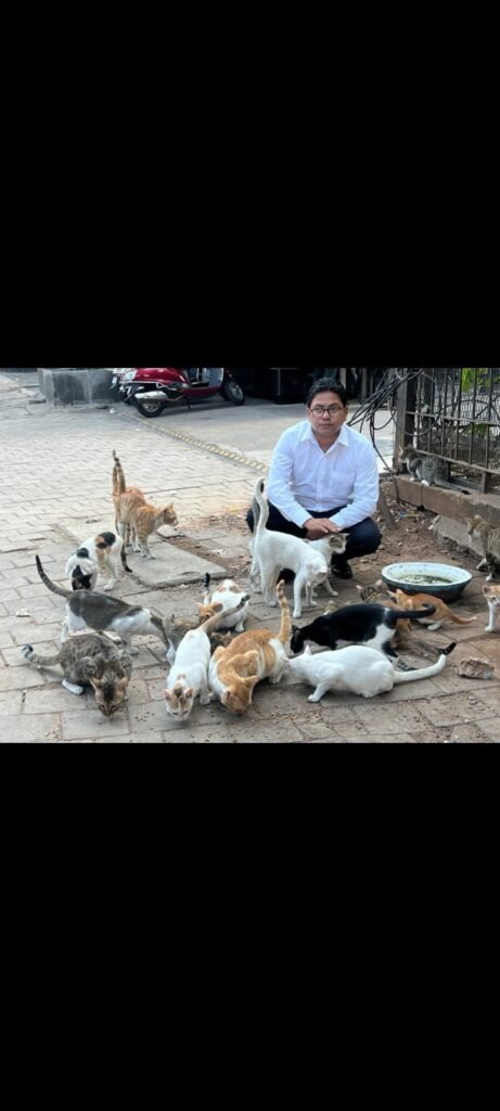 whatsapp image 2025 12 06 at 10.17.23 pm