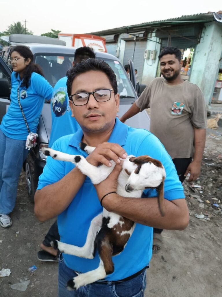 whatsapp image 2025 12 06 at 10.18.12 pm