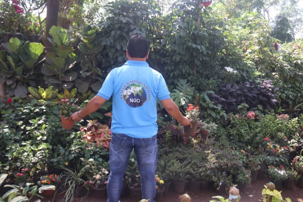 whatsapp image 2025 12 06 at 10.21.10 pm (1)