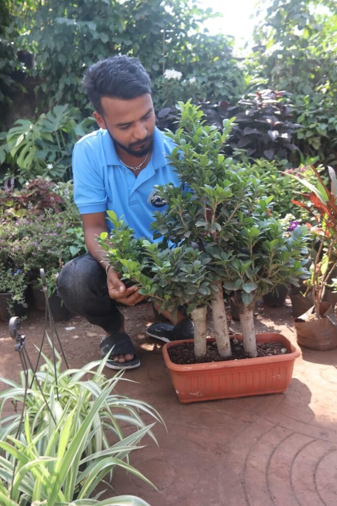 whatsapp image 2025 12 06 at 10.21.11 pm (2)